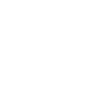 Google Icon